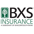 bxs insurance logo
